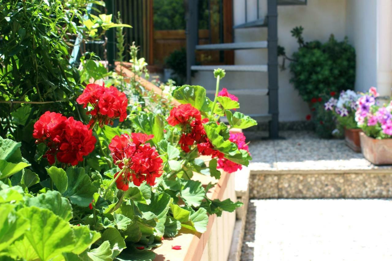 Raggio Di Sole Bed & Breakfast Macari Exteriér fotografie